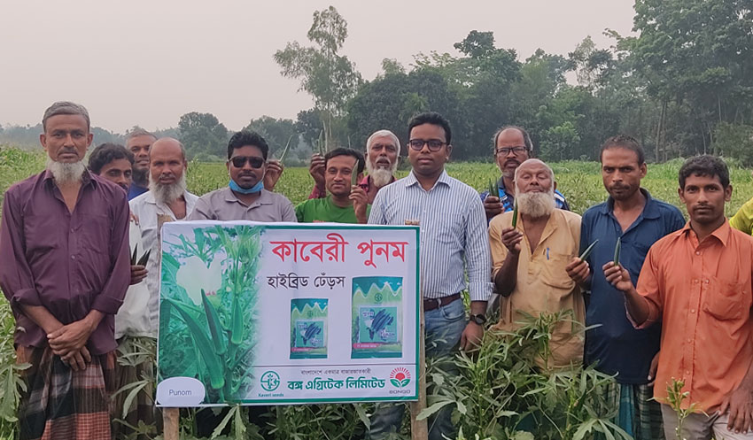 বঙ্গ সীডের হাইব্রিড ঢেঁড়স পুনম  মাঠ দিবস অনুষ্ঠিত